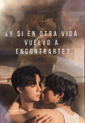 Portada del libro "&iquest;y si en otra vida vuelvo a  encontrarte? - Zeenunew"