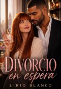 Portada del libro "Divorcio en espera"