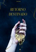 Portada del libro "Retorno Destinado"