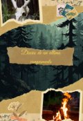 Portada del libro "Diario de un ultimo campamento"
