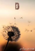 Portada del libro "D"
