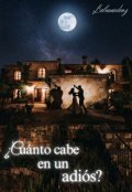 Portada del libro "&iquest;cu&aacute;nto cabe en un adi&oacute;s?"