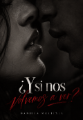 Portada del libro "&iquest;y si nos volvemos a ver?"