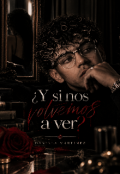 Portada del libro "&iquest;y si nos volvemos a ver?"