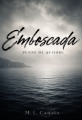 Portada del libro "Emboscada, punto de quiebre"