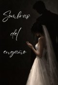 Portada del libro "Sombras del enga&ntilde;o"