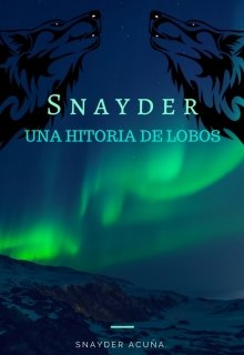 Libro. "Snayder" Leer online