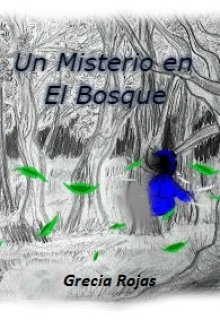 Libro. "Un Misterio en el Bosque" Leer online
