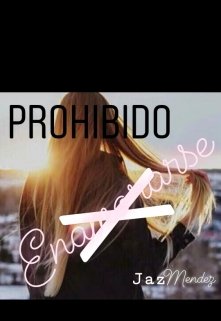 Libro. "Prohibido enamorarse " Leer online
