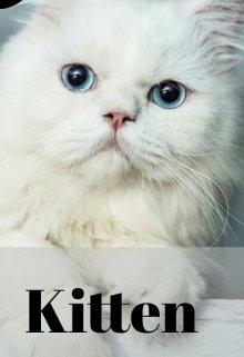 Kitten |  Yoonmin