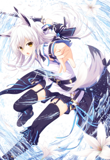 Book. "Legend of a swordswoman" read online