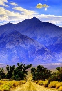 Book. "Mystery of the Blue Mountain" read online