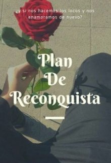 Plan de Reconquista