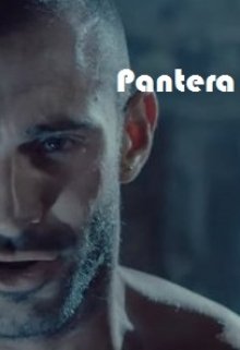 Libro. "Pantera" Leer online