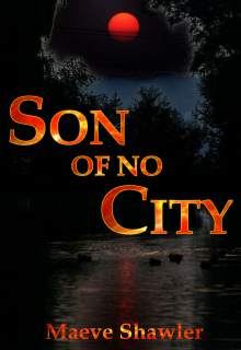 Book. "Son of No City" read online