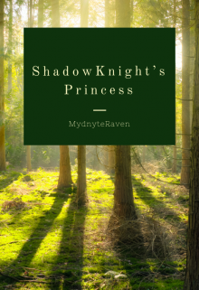 Book. "Shadowknight’s Princess " read online