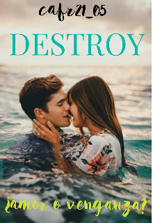 Libro. "Destroy" Leer online