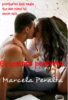 Libro. "El amante perfecto" Leer online