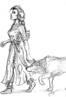 Book. "Eve of the North" read online