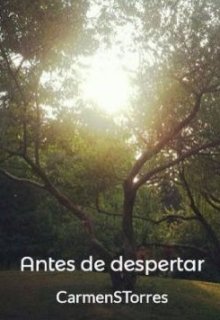 Antes de despertar