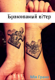 Книга. "Бракований вітер" читати онлайн