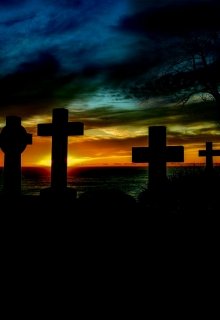 Libro. "El Misterio del Cementerio" Leer online