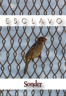 Libro. "Esclavo" Leer online