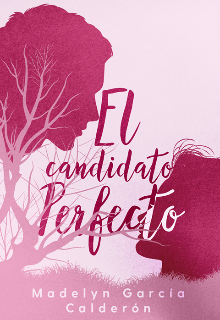 Libro. "El candidato perfecto" Leer online