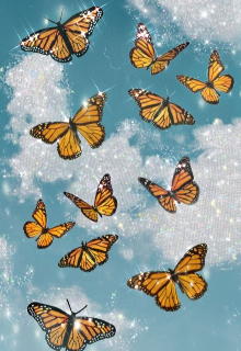 Butterflies 