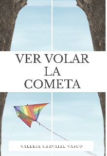 Ver volar la cometa