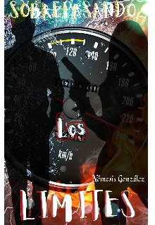 Libro. "Sobrepasando Los Límites " Leer online