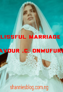 Book. "Blissful Marriage " read online