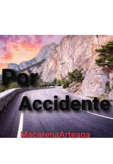 Libro. "Por Accidente " Leer online
