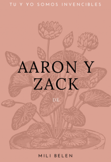 Libro. "Aaron y Zack" Leer online