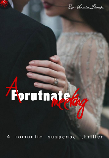 Book. "A Fortunate Meeting" read online