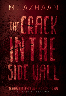 Book. "The Crack in the Side Wall" read online