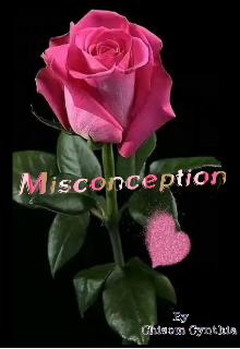 Book. "Misconception" read online