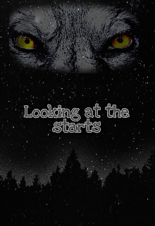 Libro. "Looking at the stars " Leer online