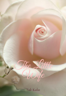 Book. "The little Wife" read online