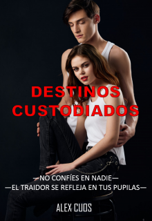 Libro. "Destinos Custodiados" Leer online