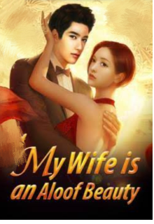 Book. "My wife is a Aloof Beauty" read online