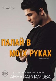 Палай в моїх руках. Книга 2 