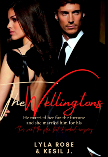 Book. "Mr. & Mrs. Wellington" read online