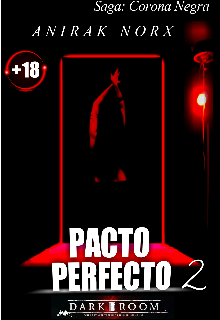 Libro. "Pacto Perfecto 2: La Dark Room" Leer online