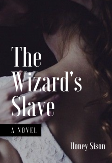 Book. "The Wizard's Slave" read online