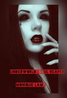 Book. "Underworld: Soul Reaper" read online