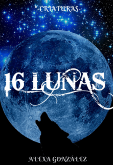 Libro. "16 Lunas" Leer online