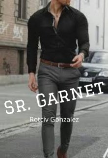 Libro. "Sr. Garnet" Leer online