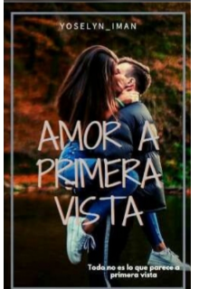 Libro. "Amor A Primera Vista " Leer online