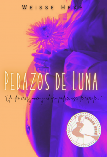 Pedazos de Luna